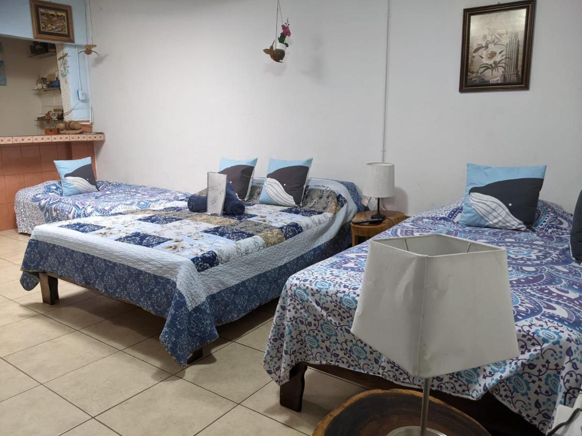 Guesthouse Casa Lapa2 Алахуэла Экстерьер фото
