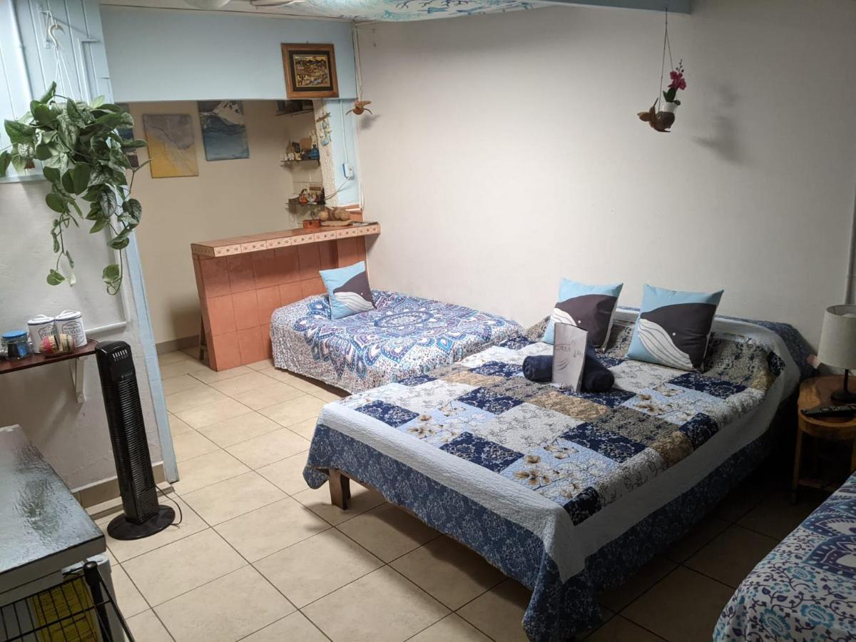 Guesthouse Casa Lapa2 Алахуэла Экстерьер фото