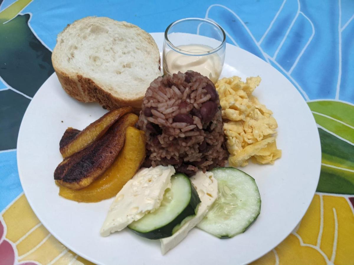 Guesthouse Casa Lapa2 Алахуэла Экстерьер фото